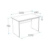 2.03.06.020.1 КАСТОР стол письменный 120х65 RU белый